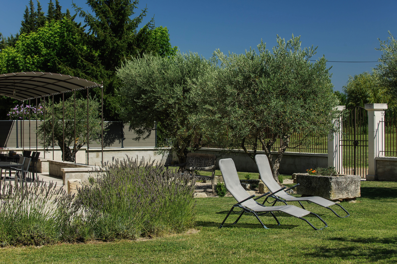 Transats et oliviers